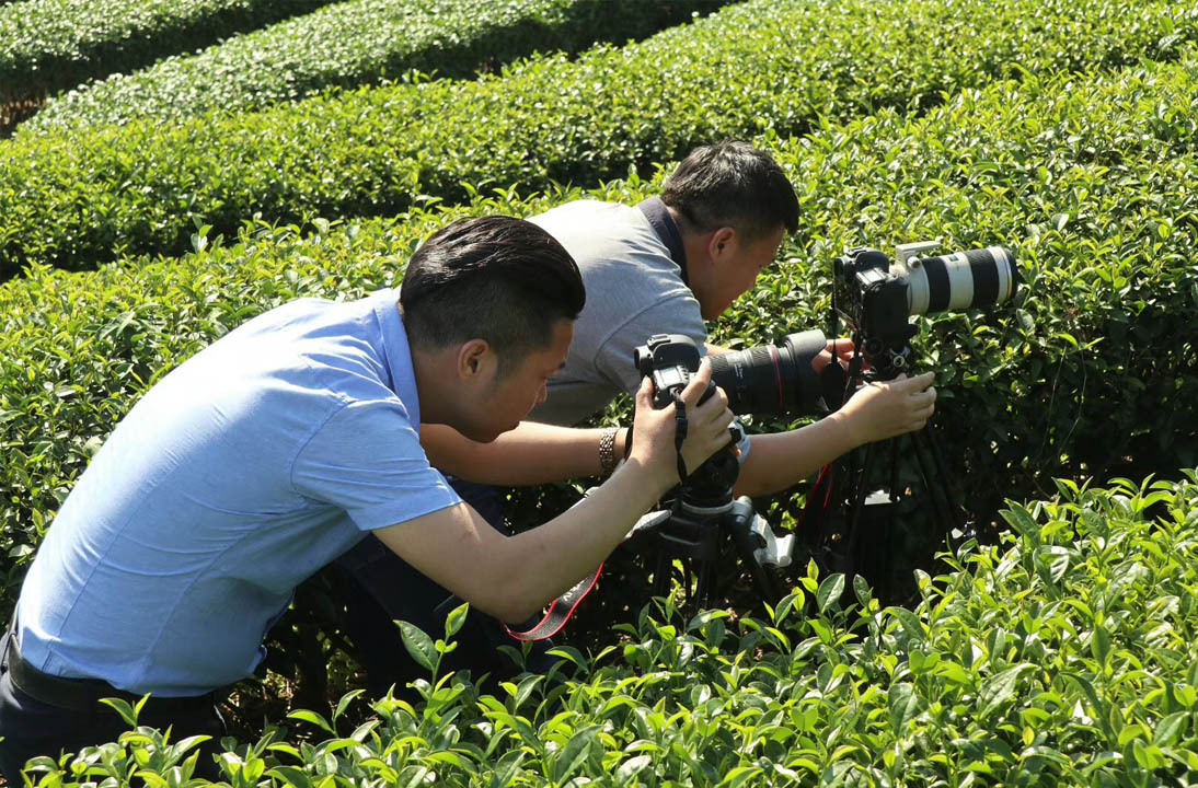 【新闻】全域影视传媒顺利结束中科富硒茶宣传片拍摄