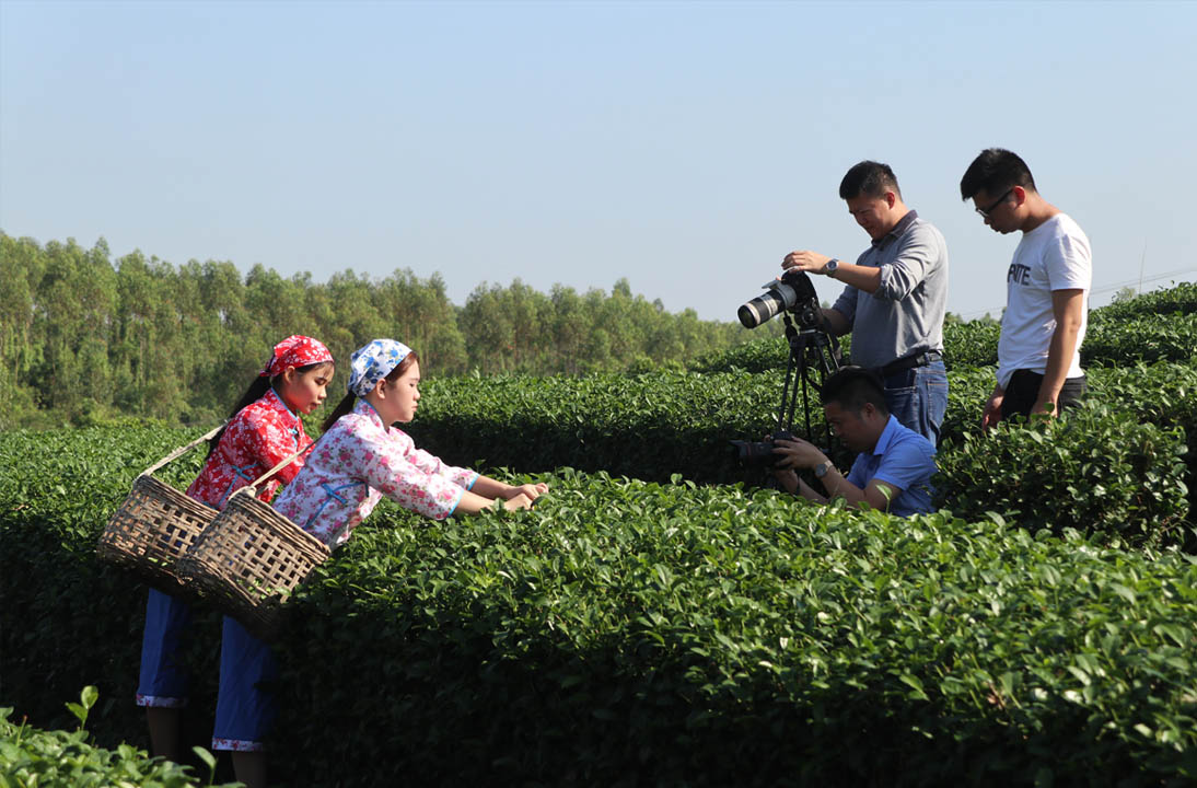 【新闻】全域影视传媒顺利结束中科富硒茶宣传片拍摄